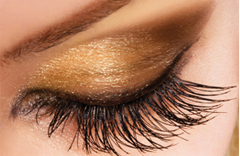 Eye Lashes